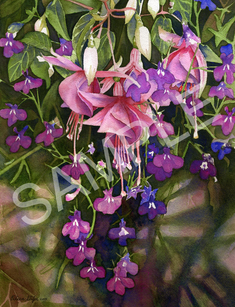 Fuchsia artwork